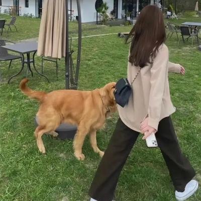 回到白垩纪